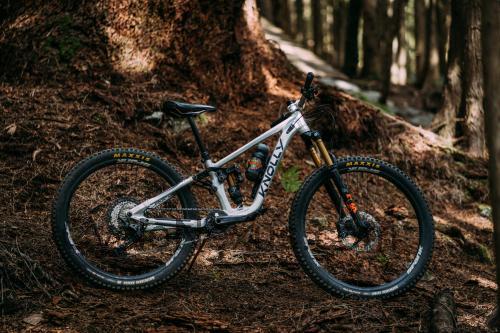 Knolly Endorphin scheda tecnica 